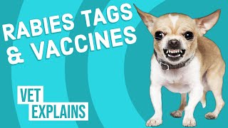 Rabies Vaccine amp Tag [upl. by Anrim635]