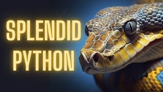 Unlocking Secrets The Splendid Python [upl. by Donohue698]