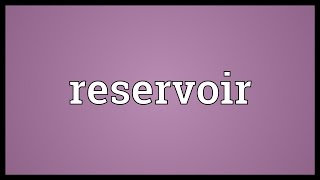 Reservoir Meaning [upl. by Kir]