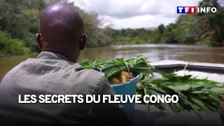 À la découverte des secrets du fleuve Congo [upl. by Wurst]