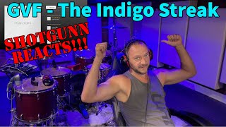 Zeppelin Fan REACTS to Greta Van Fleet  The Indigo Streak Part 6 of 12 [upl. by Humberto979]