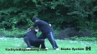 A Brief Introduction to Yin Style Bagua [upl. by Enram]