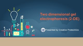 two dimensional polyacrylamide gel electrophoresis [upl. by Fancy]