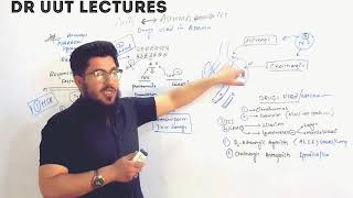 pharmacology  asthma part 2  mechanism of action of LABA SABA and ipratropium tiotropium [upl. by Jack]