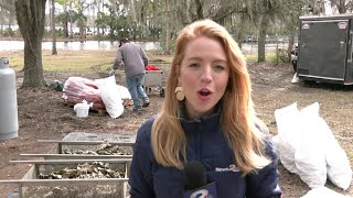 Lowcountry Oyster Festival celebrates its 40th year [upl. by Heise]