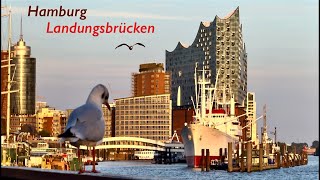 HANSESTADT HAMBURG  LANDUNGSBRÜCKEN Music Video [upl. by Ria]