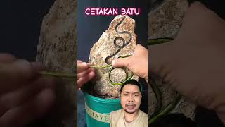 CETAKAN BATU TANAMAN HIAS [upl. by Ecneitap]