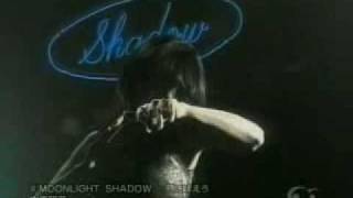 Akina Nakamori  Moonlight Shadow  月に吠えろ [upl. by Jerrine]