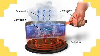 Natural Convection in a room with a heater [upl. by Farrison]