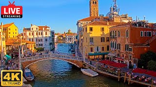 🔴 4K Live Cam of Ponte delle Guglie Venice  View from Hotel Leone Venezia  Live stream ライブカメラ [upl. by Anyotal]