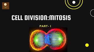 AMITOSIS CELL DIVISION [upl. by Flavia]