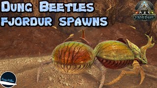 Dung Beetle Spawn Locations in Fjordur on Ark Survival Evolved [upl. by Mount]