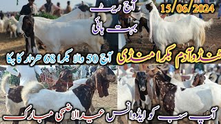 Tando Adam Bakra Mandi  Latest update today  Eid ul adha 2024  Bakra Eid 2024  date 15062024 [upl. by Nawuj]