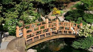 Dubuque Arboretum and Botanical Gardens Japanese Garden II [upl. by Maharva216]