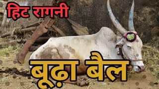 बूढ़ा बैल  Aaya Budhapa Kadwa Kar Ke Ragni  Pandit LakhmiChand Ki Hit Ragni [upl. by Laks]