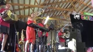 Jim Busta Band Mollie B Carver County Fair 892018 [upl. by Mohamed]