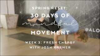 Day 16 Dynamic Flow with Josh Kramer Yoga  Spring Reset 30 days of Mindful Movement [upl. by Viva]