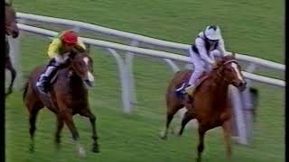 1996 Dubai Duty Free Fred Darling Stakes [upl. by Ferrell]