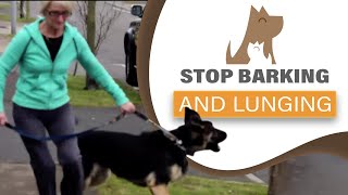 How to STOP your dog barking lunging at visitors amp dogs aggression [upl. by Zoubek]