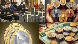 La nouvelle monnaie sahel actualité du moment au mali🇲🇱Niger🇳🇪et Burkina🇧🇫 [upl. by Curtice411]