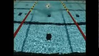 Backstroke Officiatingflv [upl. by Merriman]