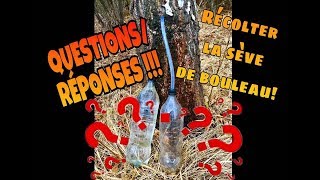 🗝 2 Sève de bouleau 👉  QuestionsRéponses avant de commencer [upl. by Featherstone]