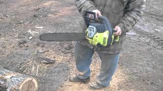 Poulan woodshark chainsaw for sale on ebay [upl. by Kcor555]