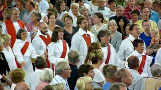 Festhögmässan vid Oasrörelsens sommarmöte i Borås 2009 del 2 [upl. by Eybbob]