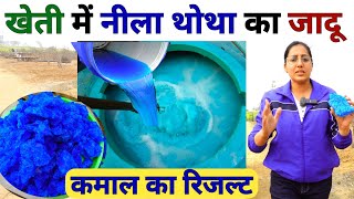 वाह 😲 नीले पत्थर से कमाल की खेती  copper sulphate uses in agriculture  Bordo mixture prepration [upl. by Ahsinned]