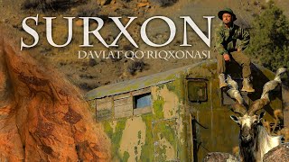 15 ming yillik suratlar va burama shoxli morxo‘rlar — Surxon davlat qo‘riqxonasi  Manzil [upl. by Rannug]