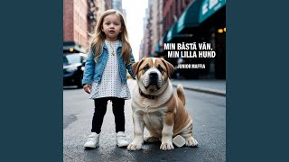 Min bästa vän min lilla hund Junior Mafia [upl. by Jewel]