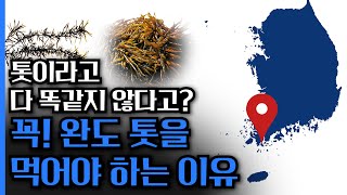 이 영상 보면 앞으로 quot완도 톳quot만 드시게 될 겁니다 암세포의 성장을 억제하는 완도 톳의 놀라운 효과들 [upl. by Block]