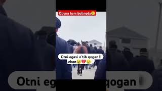 Otga juda katta respect qpyil qoldim hhhhorse sevishganlarsuhbati otlaruzsamarqand [upl. by Oliy726]