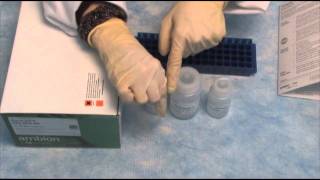 Isolate RNA with the PureLink™ RNA Mini Kit qPCR step 2 [upl. by Torin]