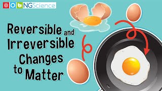 Reversible and Irreversible Changes to Matter [upl. by Ennaed405]