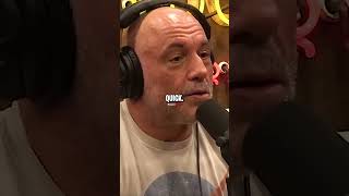 Joe Rogan Reacts to Donald Trump Election Chances [upl. by Goody]