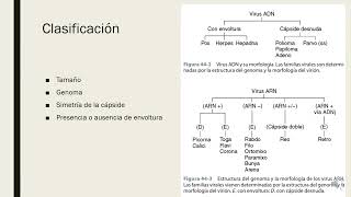 Generalidades de virología 2024 1 [upl. by Rovit]