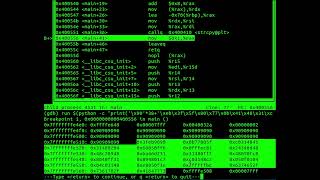 Buffer Overflow Demonstration [upl. by Lajet352]