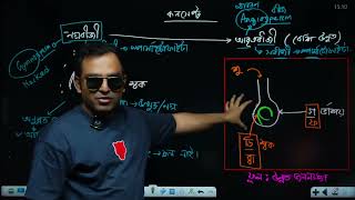 Biology Class 1Gymnosperm amp Angiosperm  ACS Medical Course HSC2024 Latest [upl. by Eigram]