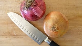 Cooking Tips For Beginners How To Cut An Onion Fast  Weelicious [upl. by Reld]