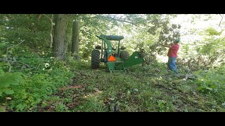 Dewalt polesaw limb chipping with Wallenstein bx62 Chipper [upl. by Houston]