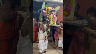 Shivaratri Girija kalyanam at Sri Kashi Vishwanatha temple  Raghuvanahalli [upl. by Nyrac690]