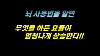 447 미라클챌린지 시즌3 Day 044  어떠한 실적 목표든지 반드시 달성하게 만드는 뇌 사용 방법 [upl. by Eecyac282]