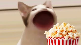 927直播紀錄【Google小遊戲】爆米花生存大賽！比誰最後爆屁？Google Doodle Celebrating Popcorn [upl. by Arrak]