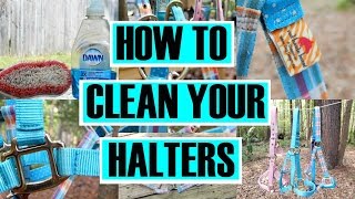 How to Clean Your Halters  simplyequine27 [upl. by Ybor]