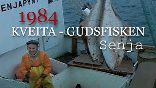 Kveita  Gudsfisken Kveitefiske vest av Senja 1984 [upl. by Atsirhcal169]