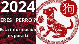 2024 PREDICCIONES PARA EL SIGNO DEL PERRO [upl. by Nedearb]