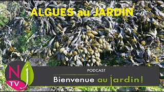 COMMENT UTILISER LES ALGUES DANS LE JARDIN  PROPRIÉTÉS UTILISATION PRÉSERVATION VALORISATION [upl. by Spearing]