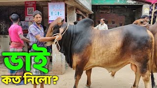 Bhai Koto Nilo Gabtoli Gorur Haat 2022  Part 94  Qurbani Cow Price in Bangladesh  Haat Update [upl. by Hnahk]