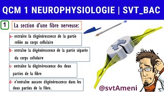 SVT Bac Neurophysiologie Expériences de section dun nerf rachidien  QCM 1 [upl. by Eagle]